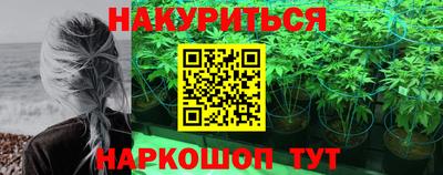 шишки Берёзовский
